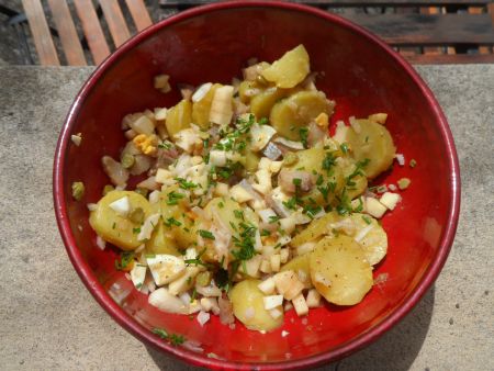 salade pommes de terre harengs